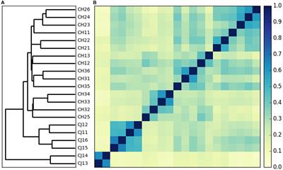 Gut Microbiota in Dholes During Estrus